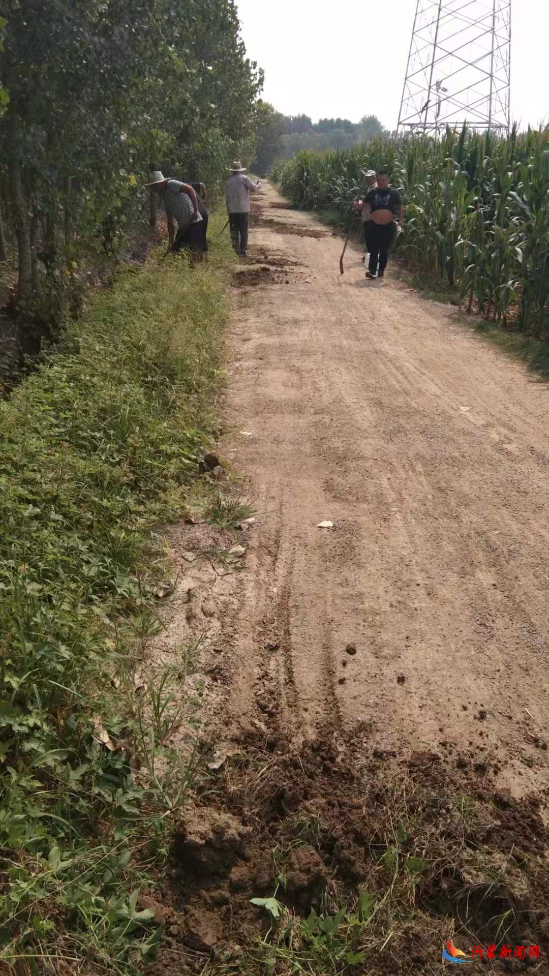 义务修路彰显党员风采 ----兰山区方城镇顺德庄村党员干部义务平整村级农田路