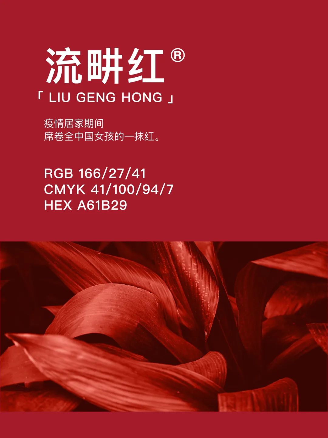 42种东方国度的神秘色彩 第 5 张