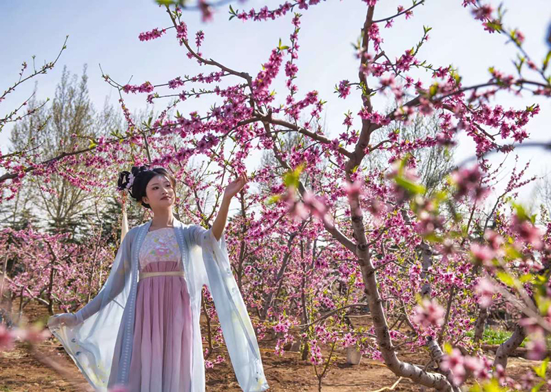 2025李官镇第三届春季文化旅游节盛大启幕 第 8 张